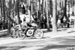 martti_felin_finland.jpg (90524 tavu(a))