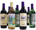 Rnnvik wineyard...
