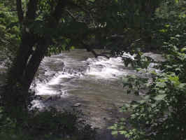 Cherohala.jpg (122238 tavu(a))