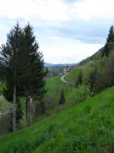 DSC01540.JPG (578291 tavu(a))